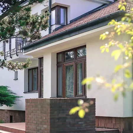 & S8 3* Blizne Jasinskiego