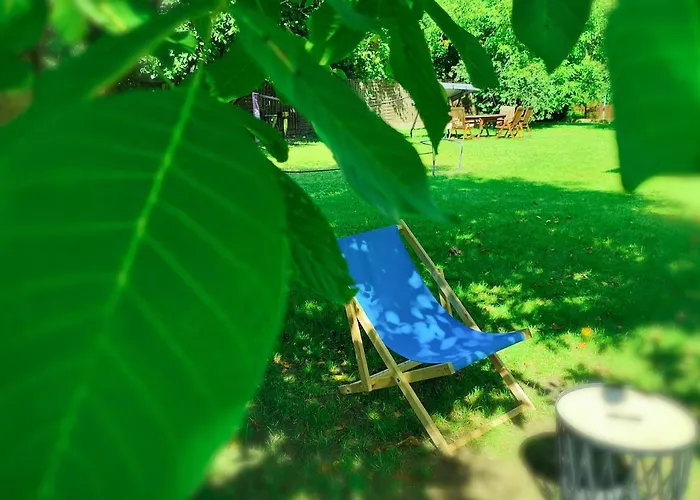 & S8 Blizne Jasinskiego